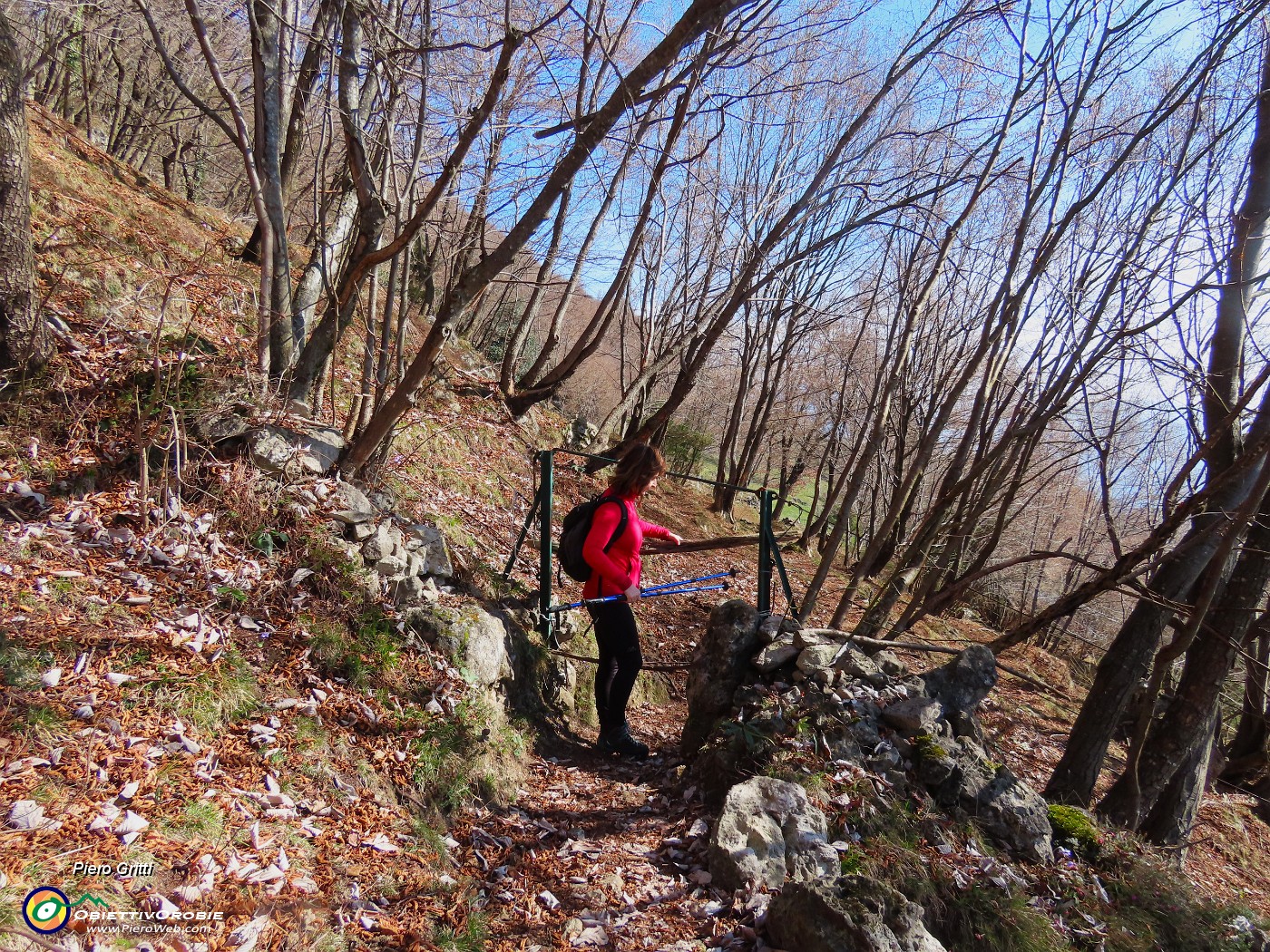 29 Per cortesia aprire e poi chiudere-Animali al pascolo.JPG